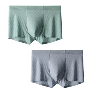 Luxurious Ice Silk Mens Underwear Breathable Comfortable Naked Sensation Boxer Shorts High Elasticity All Season Nylon Briefs