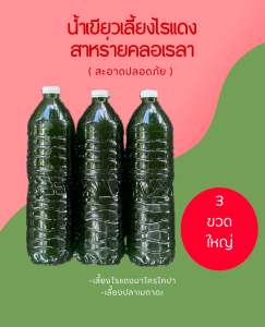 หัวเชื้อน้ำเขียวสาหร่ายคลอเรลา 1.5 ลิตร 3 ขวด ไข่ไรแดง T10 อาหารไรแดง หัวเชื้อน้ำเขียวสาหร่ายคอลเรล่า คอลเรล่าเข้มข้น ไรแดง  ชุดเพาะไรแดง