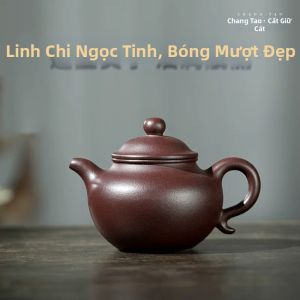 CHANGTAO | Bình Trà Đất Nung Hình Sen Handmade 200ml