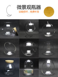 Hũ Hoa Thủy Tinh Dày Trong Suốt Đáy Phẳng Hình Quả Bóng Góc Nghiêng Cảnh Micro Hũ Hoa Cỏ Thịt Đồ Dùng Phong Cách Hiện Đại Đơn Giản