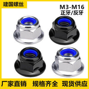 Galvanized 304 Stainless Steel Hexagonal Flange Nylon Anti-Lock Nuts Self-Locking Screw Caps Anti-Slip Caps M3M10 Fastener