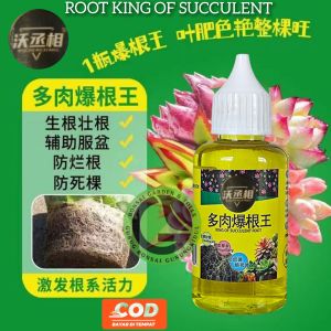 ROOT KING OF SUCCULENT pupuk sukulen pupuk cair khusus sukulen BAGELAOTOU 50ml