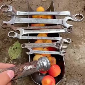 Wrench Universal Adjustable Double-Head Wrench Screwdriver Hand Tool Ratchet Spanner