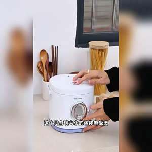 Portable Multi-Functional Tool | Compact Ceramic Steamer | 1.2L Ceramic Rice Cooker & Steamer – Compact and Practical**