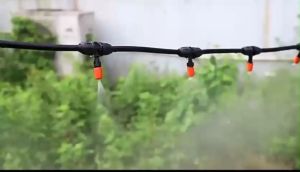 Dây phun sương 8mm (bán theo mét lẻ)