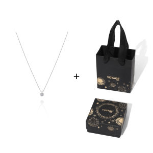 ZHENGZHAO | Shiny Luxury Minimalist Titanium Locking Necklace