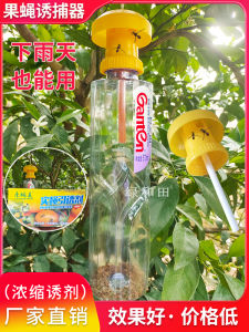 Fruit Fly Trapper Needle Bee Fruit Fruit Fruit Fruit Fly Attractant Fruit Fly Arrestor Orchard Vegetable Fruit Fly Trap Liquid Medicine