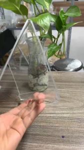 Biển/kệ chức danh mica chuẩn Đài Loan chữ A để bàn đủ kích thước