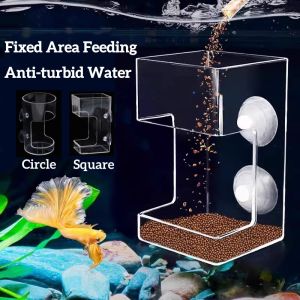 New Aquarium Feeder Bowl Large-Capacity Fixed-Point Plastic Floating/Sinking Fish Food Tray With Suction Cup