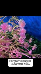 Adaptor Charger Macaron 3.1A Fast Charging - Kepala Batok Casan Kabel Charge Warna Pastel Soft Makaron Travel Adapter Colokan Hp Tablet Ipad