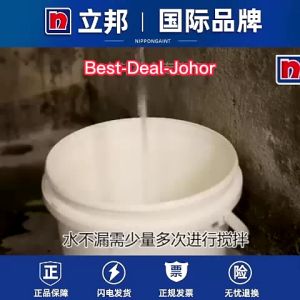 Nippon Paint Waterproof Quick Dry Putty Cement Filler Seal Big Leaking Crack 立邦堵漏王 快干水泥 防漏水 Sprayable Waterproofing Paint Watertight Spray Sealant - Lazada