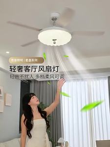HUIPU ZHAOMING | Quiet High-Power Smart Inverter Eye-Protection Fan Light