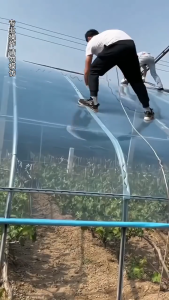 UV PLASTIC RUMAH PELINDUNG HUJAN GREENHOUSE FILM FILEM RUMAH HIJAU NET UV PLASTIC UV COVER