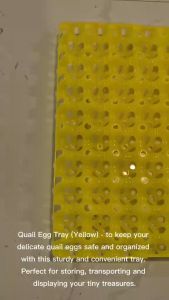 Quail Pugo Egg Tray Yellow Durable and Spacious Quail Egg Tray for Safe and Secure of Eggs for Animals