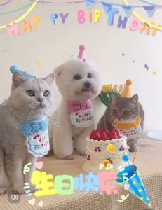 EZPET Kostum Hari Jadi Haiwan Baju Birthday Kucing Baju Birthday Anjing Topi Hari Jadi Haiwan Aksesori Parti Kucing Anjing Pet Birthday Costume Cat Dog Hat Collar Party Outfit Saliva Bib Birthday Party Accessories for pets 猫狗生日服装 宠物围兜 生日帽 宠物派对装