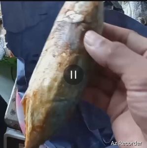 Ikan Asin Peda Merah Murah 1 kg / COD bayar di tempat