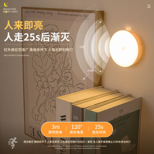 Human Body Induction Night Light Small Lamp for Hallway Toilet Automatic Switch on When Someone Comes Home Decorative Lamp