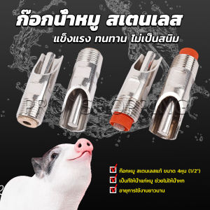 Pro 1/2" ก๊อกหมู ก๊อกหมูกินน้ำ จุ๊บหมู สแตนเลสแท้ทนทานไม่ขึ้นสนิม Pig Drinking Faucet