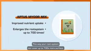 Aptus Mycor Mix 100g ( Increase root surface area by 700 times Facilitates Uptake of Fertilizers Enlarge the Root System up to 700 times Soil Care Soil Amendment)