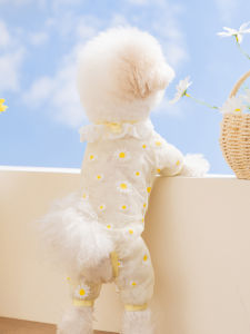 hipidog | Breathable Dog Summer Clothing 2026 New Style