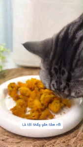 [Phụ kiện Fassner] Ruột máy lòng nồi làm thịt viên thịt sấy cho chó mèo Fassner