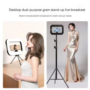 11 inch selfie light with rotatable stand and cell phone holder LED selfie light portable mini fill light for cell phone photogr