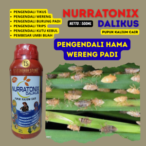 Pupuk Semprot Pengendali Wereng DALIKUS 500ML – Obat Ampuh untuk Padi yang Diserang Wereng Hijau/Coklat Aman untuk Tanaman Efektif Menghentikan Penyakit Kuning Solusi Hemat untuk Petani Modern