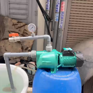 Máy bơm nước con lợn 750W (1HP) Cánh Đồng TJSW/10M Taifu - Máy bơm nước đầu lợn bán chân không tự mồi