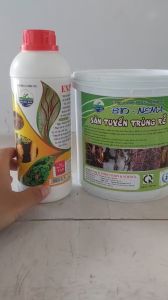 (Combo 2SP) DIỆT TẬN GỐC TUYẾN TRÙNG RỄ Hạn Chế Các Bệnh Về Rễ Héo Xanh... - Bio Nema và Enzyme Chitin