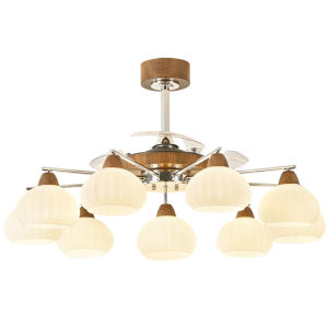 DGY | Retro Style Living Room Ceiling Fan and Light Combo