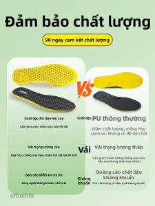 MICUI | Anti-odor Antibacterial Sweat Absorbing Summer Foot Pad
