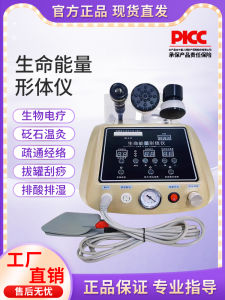 Energy Instrument Whole Body Anti-Aging Therapy Guasha Bio-Energy Channeling Beauty Salon Equipment Skin Care Electronic Device