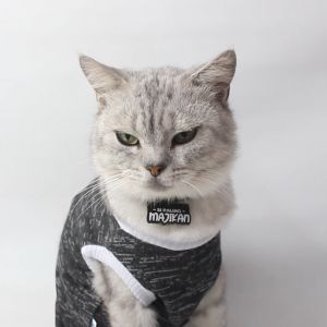 Kalung Kucing Bahan Sintetis Lucu Murah - Kalung Si Paling Majikan Series