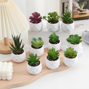 Simulated Succulent Plant Potted Plant Artificial Green Plants Bonsai Home Room Table Decoration Gift