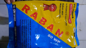 RABAN 80 WP 1 KG FUNGISIDA PENGENDALI PENYAKIT