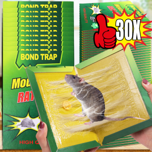 30pcs High Effective Mouse Glue Board / Indoors Outdoors Rat Snake Glue Pad / Mice Sticky Trap / Sticky Mice Rodent Glue Board Bait Trap