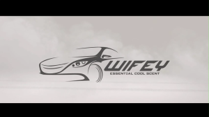 Wifey Windshield Plus Windscreen Washe Windshield Cleaner