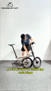 Java Neo 3 16" Trifold Bike | Carbon Fork | 9-Speed Shimano Sora & Hydraulic Disc | The Bike Atrium