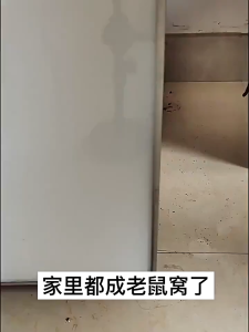 monqiqi 100 เมตรไม่มีหนู ลูกเหม็นไล่หนู เมตรไล่หนู ไล่หนูถาวร ยาไล่หนู ส่วนผสมของพืช รวดเร็วและมีประสิทธิภาพ 24 ชั่วโมง ไล่หนูอย่างต่อเนื่อง กำจัดหนู