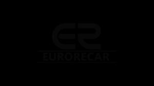 1.5HP 220V 44GPM Submersible Sewage Drain Flood Stainless Steel Dirty Water Pump With Electric Float Switch