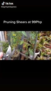 Garden Pruning Shears Set （1 Bypass Pruner+1 Straight Blade Scissors） 2 Pack Sharp Garden Shears for Cutting Flowers Trimming Plants Bonsai Fruits Picking Set