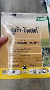 อะมีทรีน อามีทรีน ซูก้าโพสต์ 80 ขนาด 1 กิโลกรัม กำจัดหญ้าใบแคบและใบกว้าง ในไร่อ้อย ไร่สับปะรด ชนิดดูดซึม ความเข้มข้นสูง 1 ถุงใช้ได้ 2 ส่วนเฟ้องซึม เริ่มต้นด้วย 1 หนังใหญ่