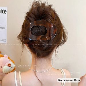 NING ZHOU | Elegant and Aesthetic Clip for Thin Hair