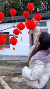 Set 10/20/50/100 lồng đèn đỏ nilong chữ phúc size 22cm trang trí Tết Bính Ngọ 2026 lồng đèn tổ ong trang trí decor nhà cửa