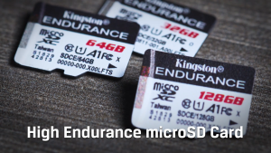 Kingston High Endurance UHS-I C10 A1 MicroSD Card 256GB KS-MSDCE FlashMartSG