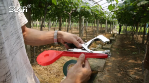 20Roll Refil Pita Tapetool / Solasi Tapetool / Alat Pengikat Tanaman