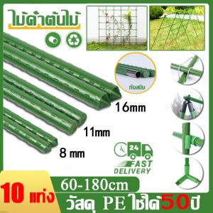 🌿 พร้อมส่ง🌿 10แท่ง ไม้ค้ำต้นไม้ ไม้หลัก เสาค้ำต้นไม้ เสามะเขือเทศ หลักไม้เลื้อย เสาไม้เลื้อย ยาว60-180ซม. หนา8-16มม. ซุ้มไม้เลื้อย โครงเหล็กซุ้ม โครงไม้เลื้อย ไม้ค้ำยันต้นไม้ ซุ้มต้นไม้ หลักไม้ค้ำ สาค้ำผักสวนครัว เสาองุ่น ซุ้มกุหลาบ ซุ้มไม้ดอก - Lazada