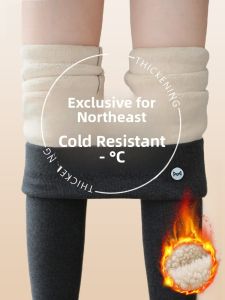 miiow | Thickened Fleece Lined High Waist Womens Leggings Northeast Anti-Cold Winter Outerwear Casual Cotton Trousers MiiOW Cat Person