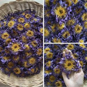 Blue lotus flowers ชาดอกบัวสีน้ำเงิน ออแกนิก ปริมาณ 100 กรัม น้ำหนักเบาได้เยอะ