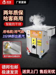 Commercial Gas Electric Steamer Oven Bun Steamer Dim Sum Steam Oven Rice Noodle Machine Street Stall Dry Burning Prevention